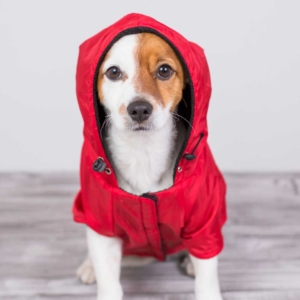 Impermeabile con cappuccio